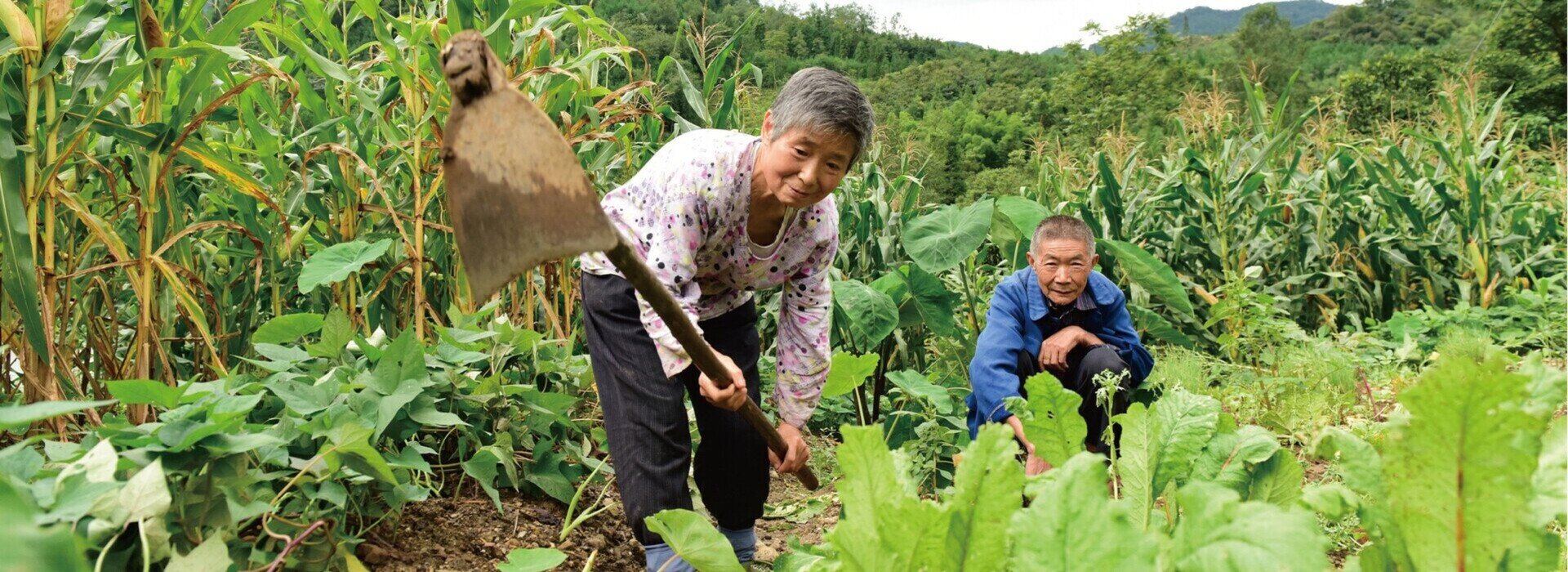 中國內地