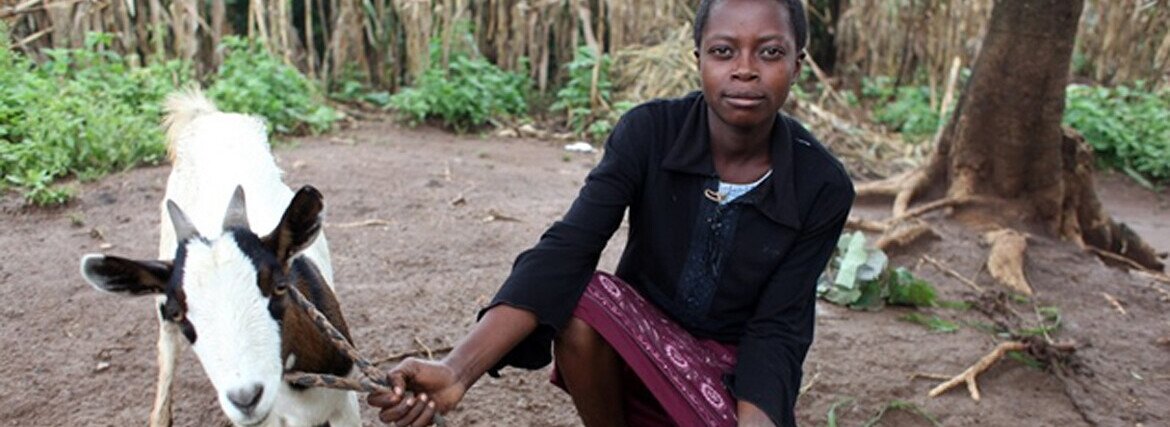 Annie Nangawiri with one of the goats she received from Oxfam Unwrapped. These goats provide milk to drink and sell, fertiliser for crops and kids to sell at the market. 'We got our first goat in 2003 and it had two kids. The next year it gave birth to tw