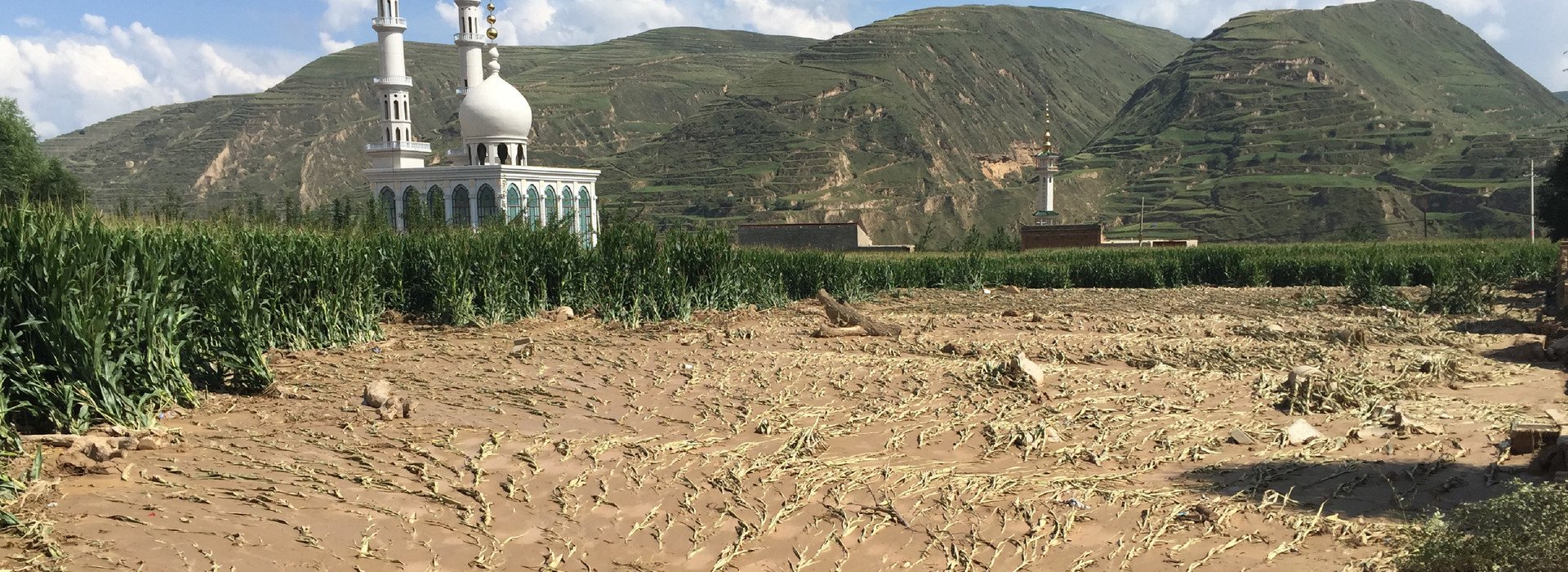 甘肅省東鄉縣果園鎮陳何村農田被山洪沖浸，農作物受損嚴重。