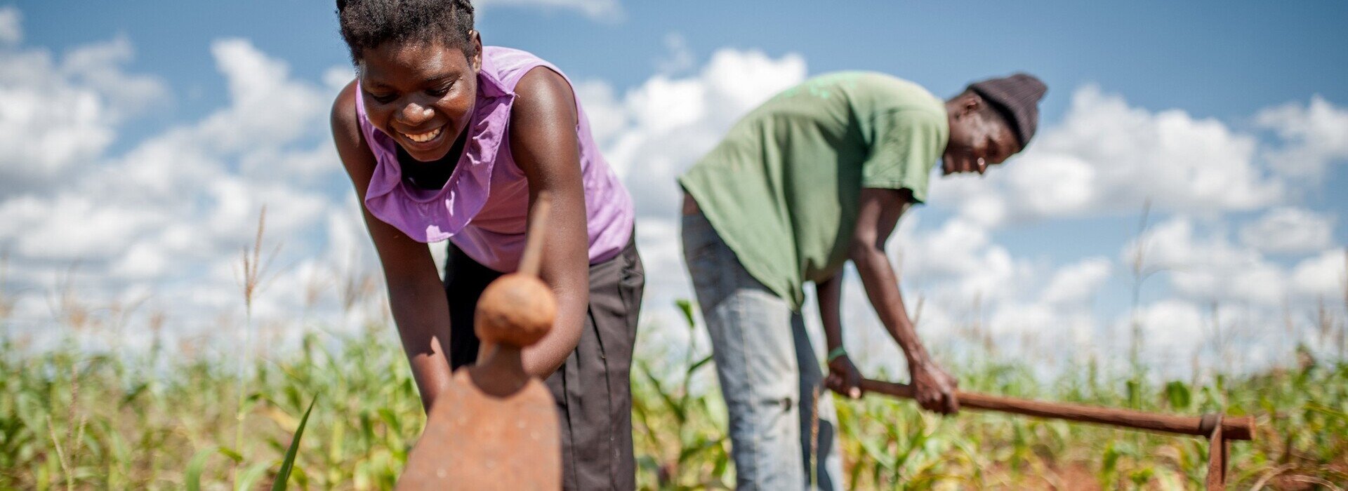 A woman and man cultivating the soil in their field