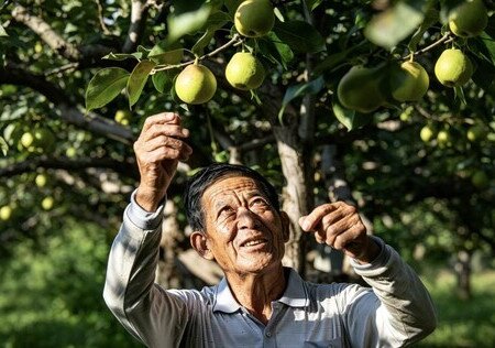 种了一辈子红梨，他把一整片土地留给了孩子 - 图像