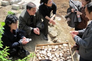 DPRK02