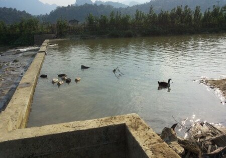 世上的幸福不是必然 - 图像