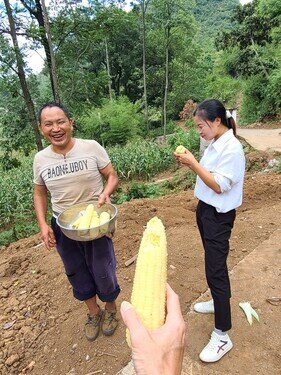 龍家壩村民的玉米(攝:筆者)