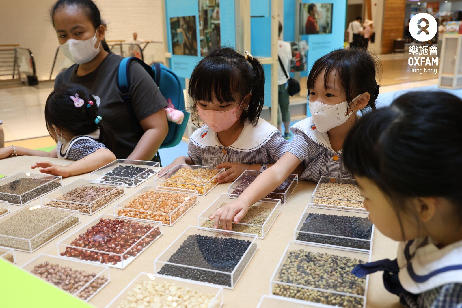 There are 171 local traditional species in Wangjinzhuang Village. A total of 18 plant seeds are on display in this exhibition.