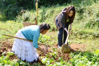 乐施大使王菀之与当地村民一起到田里耕种。