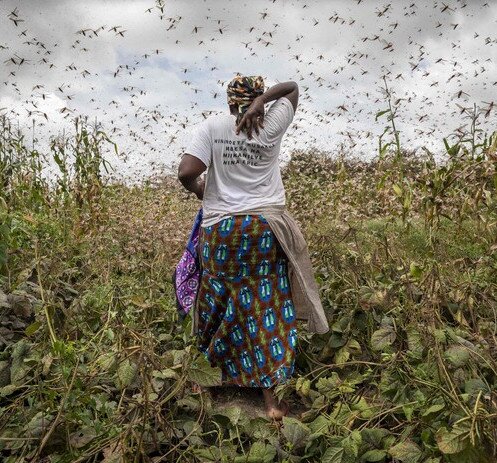 Image of Carbon emissions of richest 1% more than double those of poorest half of the world