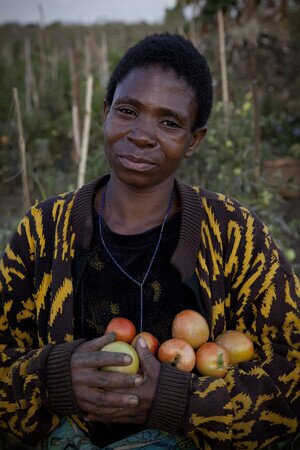 Oxfam came to give me some fertiliser and tools. I received good quality seeds and we are able to sell tomatoes for more [now]