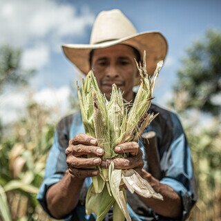 Guatemala_Drought_1.jpg