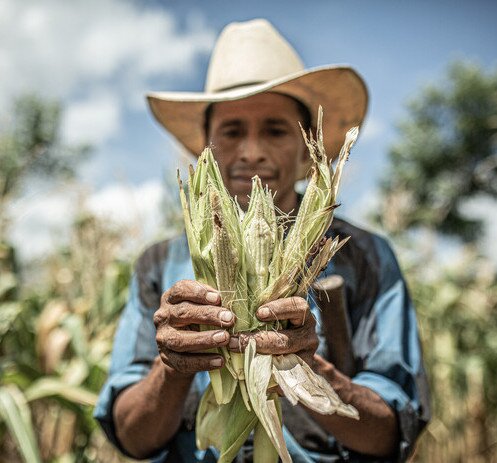 Image of Climate and Food Justice