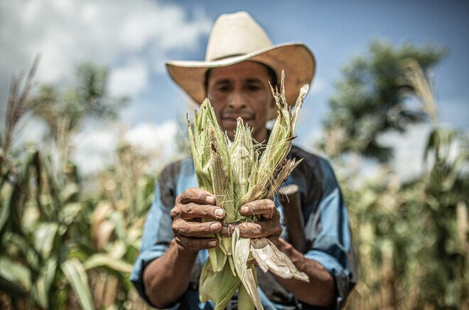 Guatemala_Drought_1.jpg