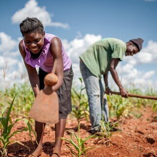 OGB_105684_Ulita and her husband Muchineripi farming corn.jpg