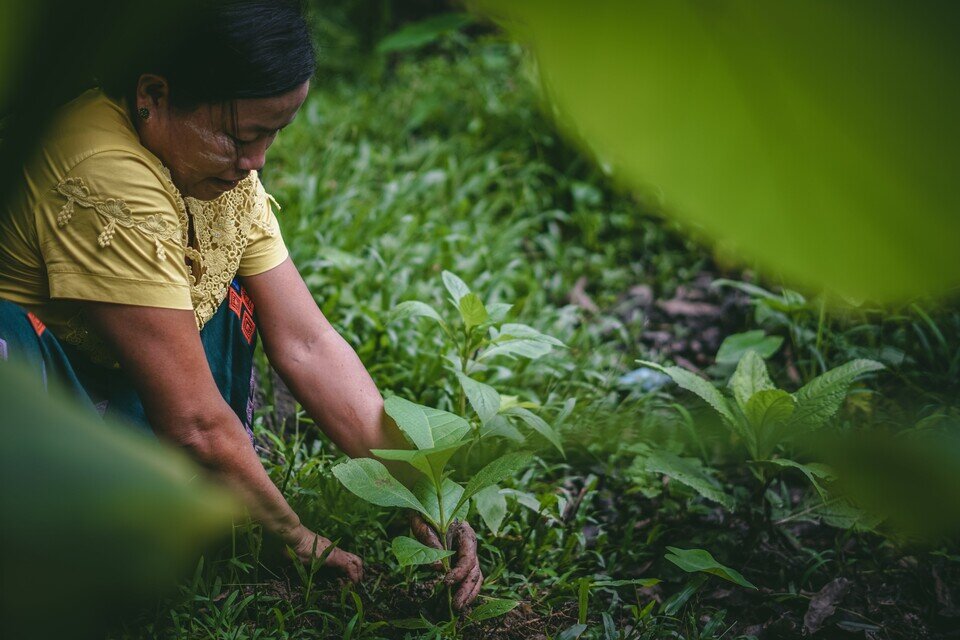 When most of your family’s income goes towards basic living expenses like rent, food and transportation, what do you do with the little you have left? Spend it on daily necessities? Your family members’ doctor’s visits? Your children’s education? These are questions many smallholder farmers who live in developing countries ask themselves every day.