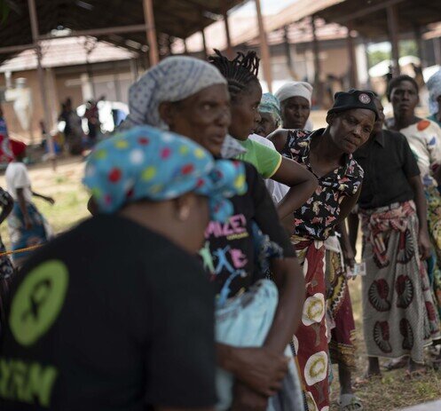 发展项目 - 图像